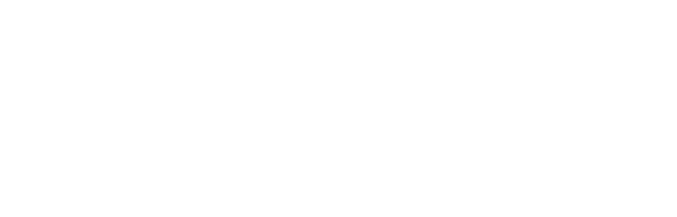 Silverskin logo
